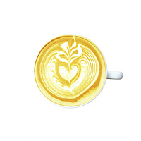 Fonte Golden Turmeric Latte 2